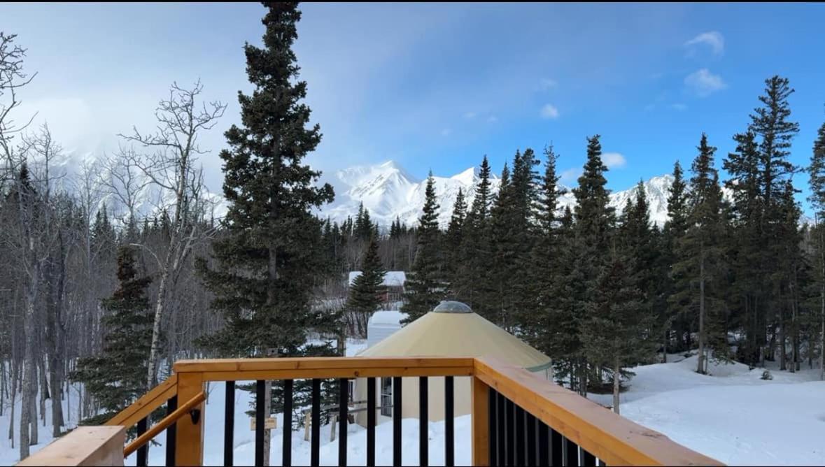 Mount Logan Ecolodge & Retreat Center Хейнс Джънкшън Екстериор снимка