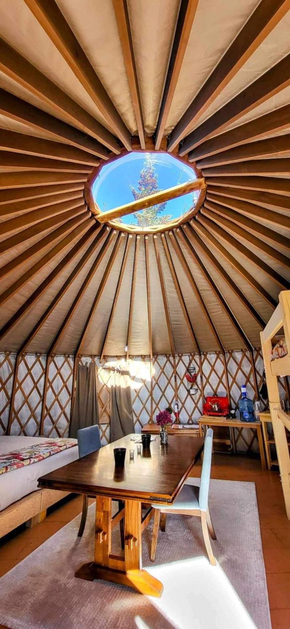 Mount Logan Ecolodge & Retreat Center Хейнс Джънкшън Екстериор снимка